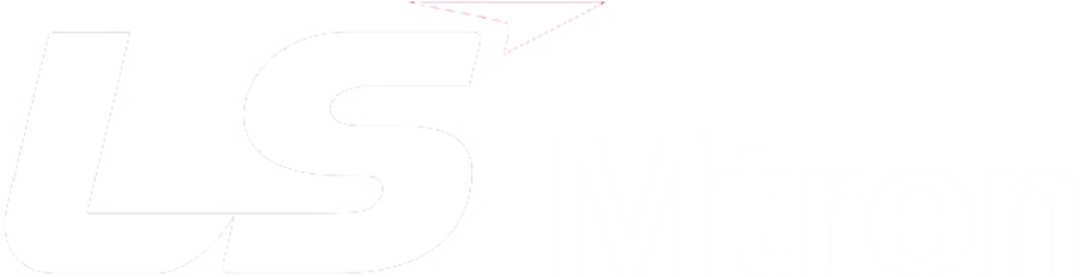 LSMtron